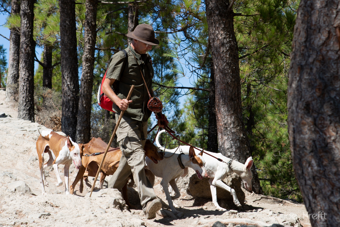 Ranger mit Hunden auf dem Weg zum Nublo