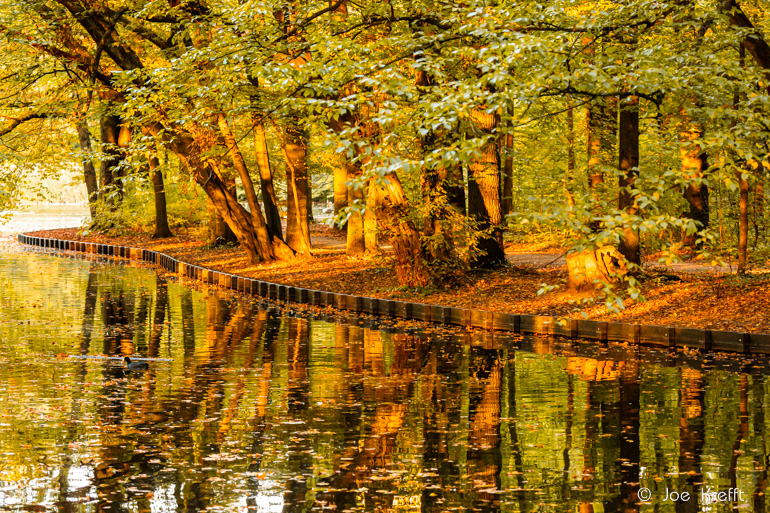 Herbstfotos: das Spiel mit Licht und Schatten. Wald oder Baum in der tiefstehenden Sonne mit langen Schatten.